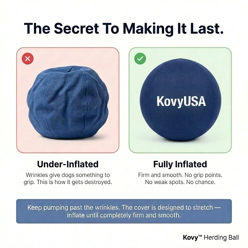 Kovy™ Herding Ball
