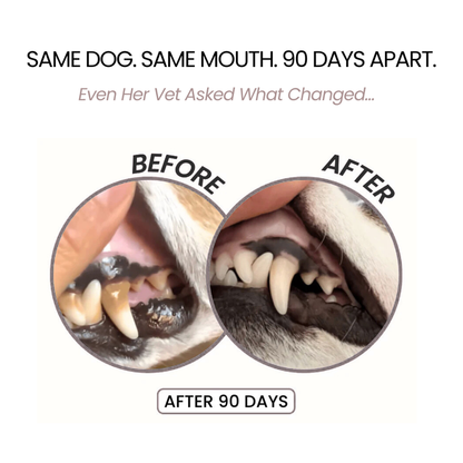 Kovylabco™ Pet Dental Spray