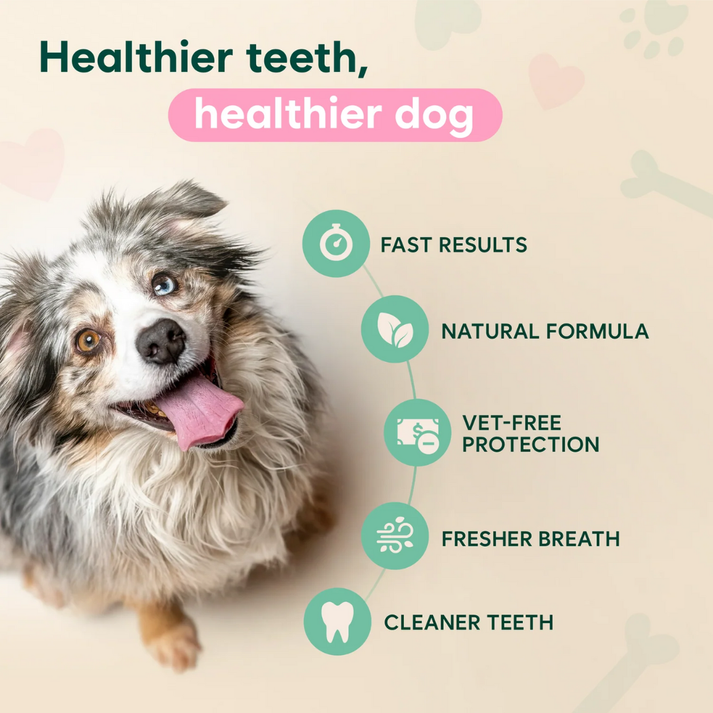 Kovylabco™ Pet Dental Spray