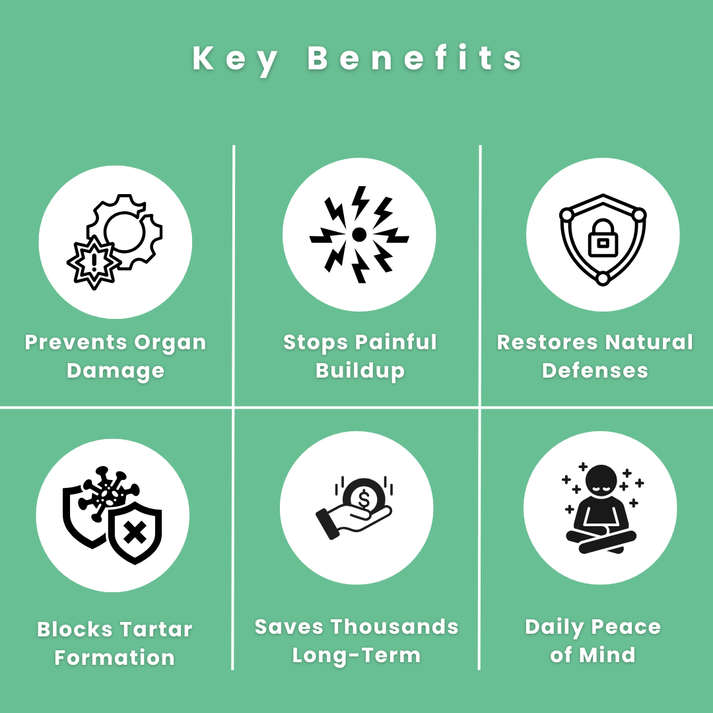 Kovylabco™ Pet Dental Spray