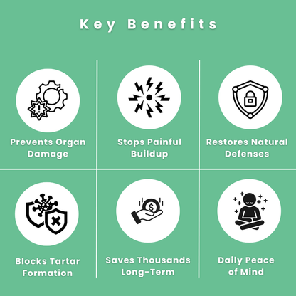 Kovylabco™ Pet Dental Spray