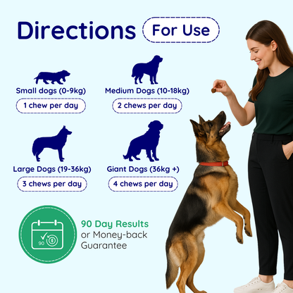 Digestive Issues Support Chews