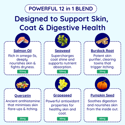 Digestive Issues Support Chews