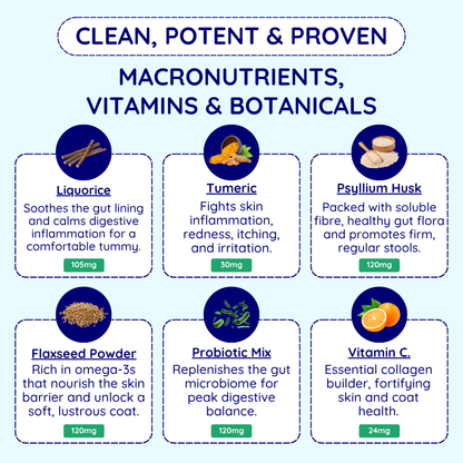 Digestive Issues Support Chews