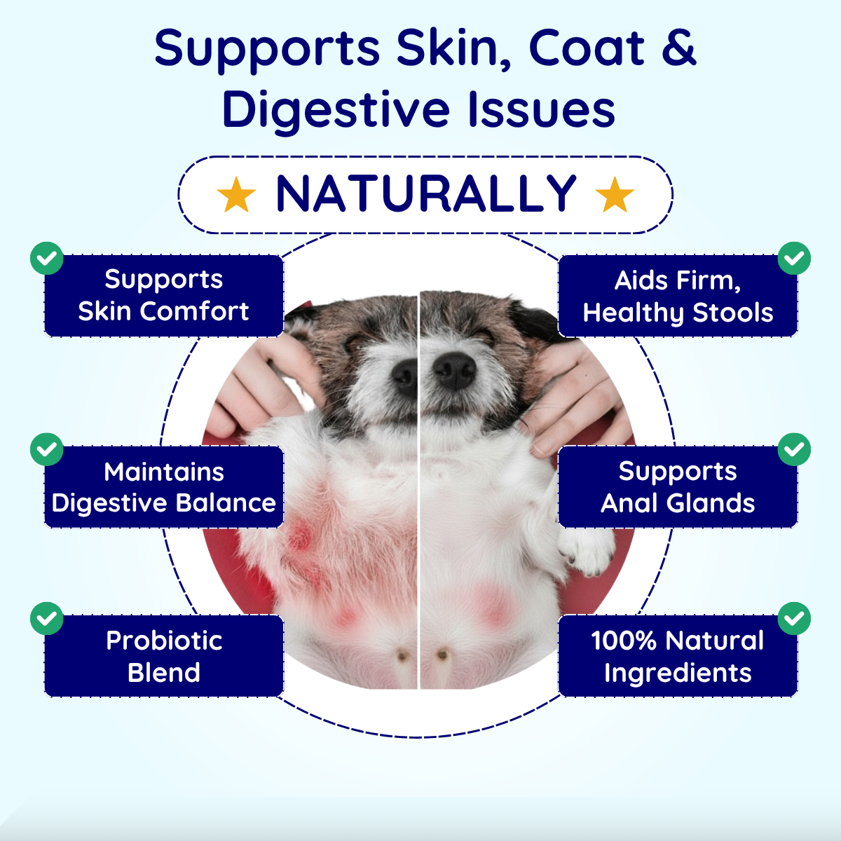 Digestive Issues Support Chews