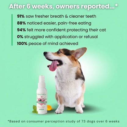 Kovylabco™ Pet Dental Spray