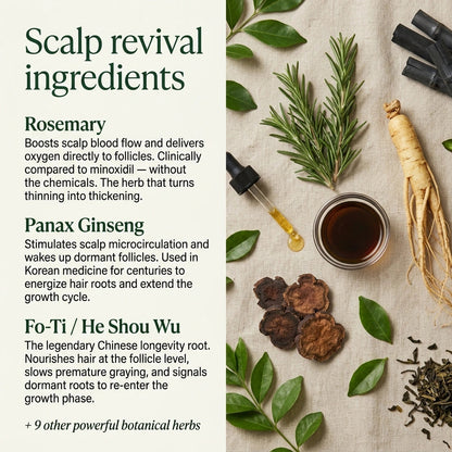 Kovy Korean Scalp Revival Bar