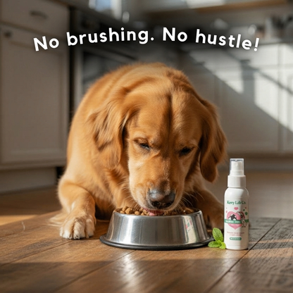 Kovylabco™ Pet Dental Spray