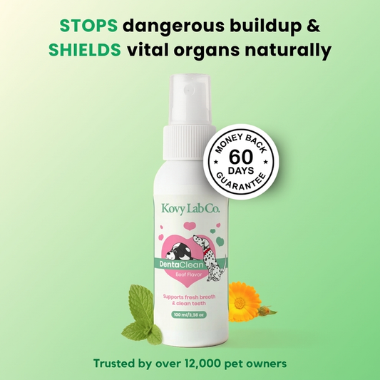 Kovylabco™ Pet Dental Spray