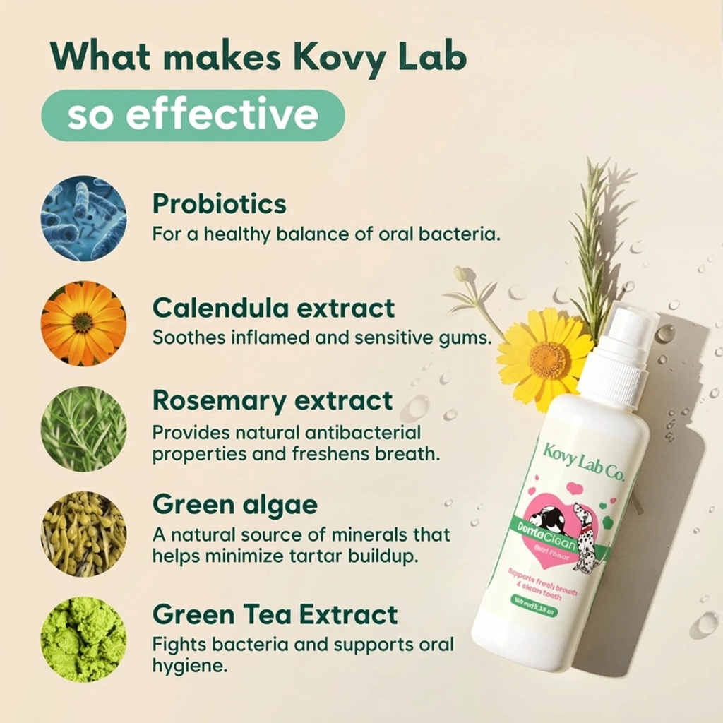 Kovylabco™ Pet Dental Spray
