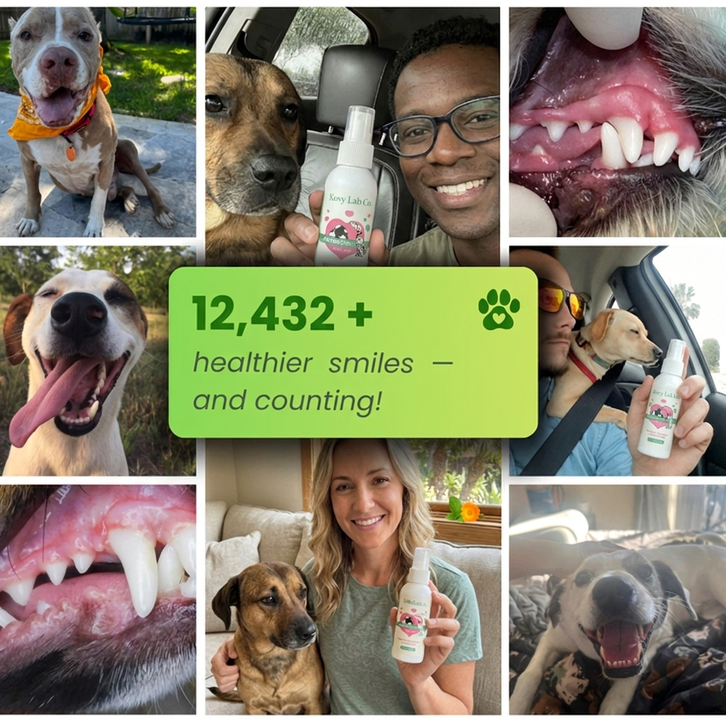 Kovylabco™ Pet Dental Spray