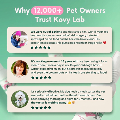 Kovylabco™ Pet Dental Spray