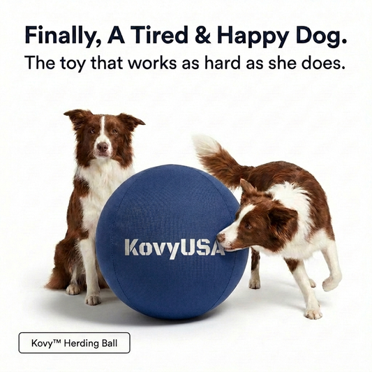 Kovy™ Herding Ball