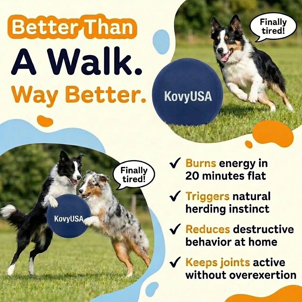 Kovy™ Herding Ball