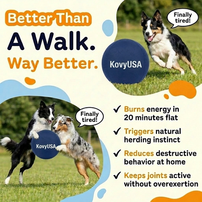Kovy™ Herding Ball