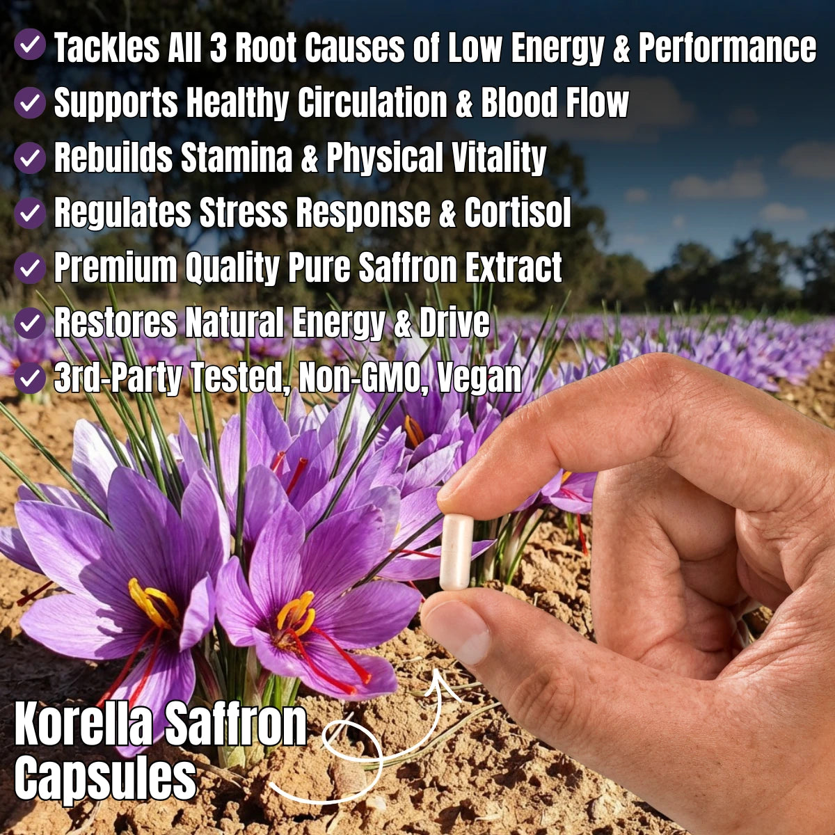 Kovy Saffron Capsules Benefits